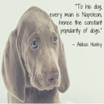 A Man And His Dog Quotes