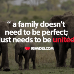 Animal Family Quotes Twitter