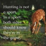 Anti Hunting Quotes Pinterest