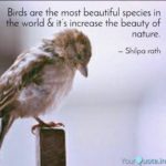 Beautiful Birds Images With Quotes