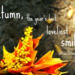 Beautiful Fall Quotes Tumblr