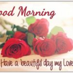 Beautiful Rose Day Images Pinterest