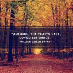 Beautiful Sentences About Autumn Tumblr