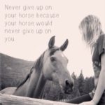 Best Quotes About Horses Tumblr
