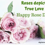 Best Rose Day Images Facebook