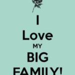 Big Family Quotes