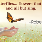 Butterfly Motivational Quotes Tumblr