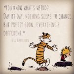 Calvin And Hobbes Quotes On Marriage Twitter