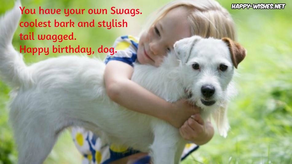 captions-for-dogs-birthday-facebook-bokkors-marketing