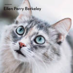 Cat Pet Quotes Pinterest