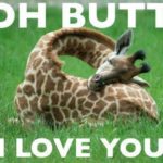 Cute Giraffe Captions Facebook