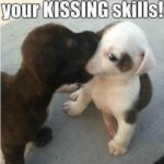 Cute Puppy Captions