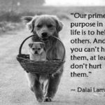 Dalai Lama Animal Quotes Pinterest