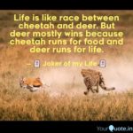 Deer Quotes About Life Tumblr