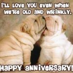 Dog Anniversary Quotes Pinterest
