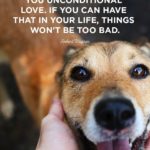 Dog Valentine Quotes Pinterest