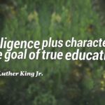 Education And Character Quotes Pinterest