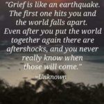 Family Grief Quotes Pinterest