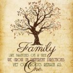 Family Tree Quotes And Sayings Pinterest
