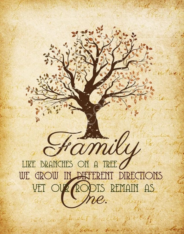 Family Tree Quotes And Sayings Pinterest – Bokkors Marketing