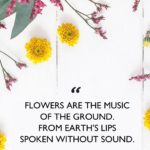 Flower Girl Quotes