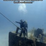 Funny Diving Captions