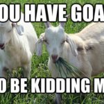Funny Goat Captions Facebook