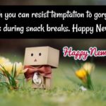 Funny Happy New Year Quotes And Sayings Pinterest