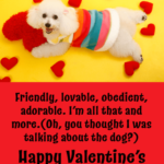 Funny Happy Valentines Day Images
