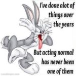 Funny Looney Tunes Quotes Tumblr