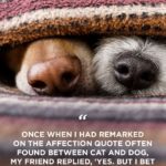 Funny Puppy Sayings