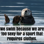 Funny Swimming Captions Twitter