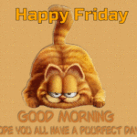 Garfield Friday Quotes Pinterest