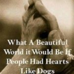Heart Touching Dog Quotes Pinterest