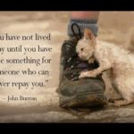 Helping Animals Quotes Twitter