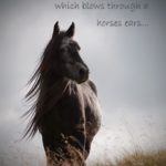Horse Beauty Quotes Pinterest