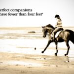 Horse Riding Quotes Facebook