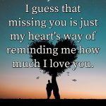 I Miss You My Love