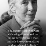 Jane Goodall Vegan Quotes Facebook
