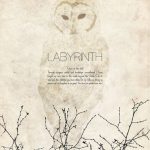 Labyrinth Quotes Tumblr
