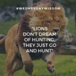 Lion Hunting Quotes Twitter