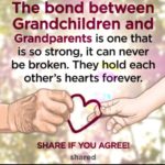 Love Between Grandparents And Grandchildren Quotes Facebook