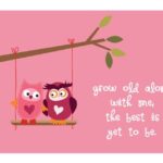 Owl Valentine Sayings Tumblr