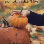 Pumpkin Patch Funny Quotes Facebook
