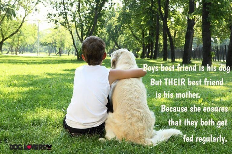 Quotes About A Boy And His Dog Twitter – Bokkors Marketing