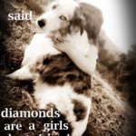 Quotes About Dogs And Girls Twitter