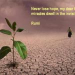 Rumi Quotes On Happiness