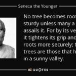 Seneca The Younger Quotes Pinterest