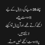 Special Urdu Quotes