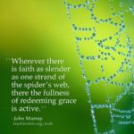 Spider Web Sayings